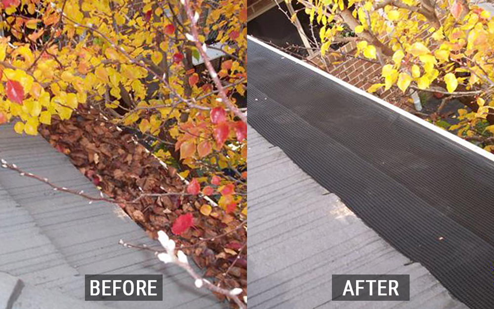 Leafbusters New Zealand Before & After